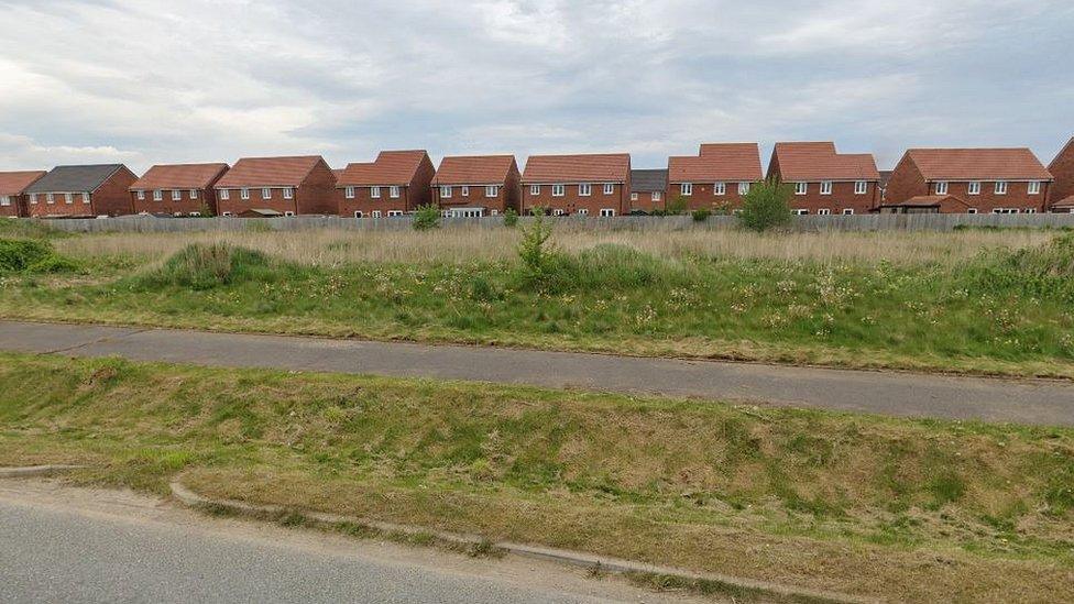 Grassland next to Poppy Drive