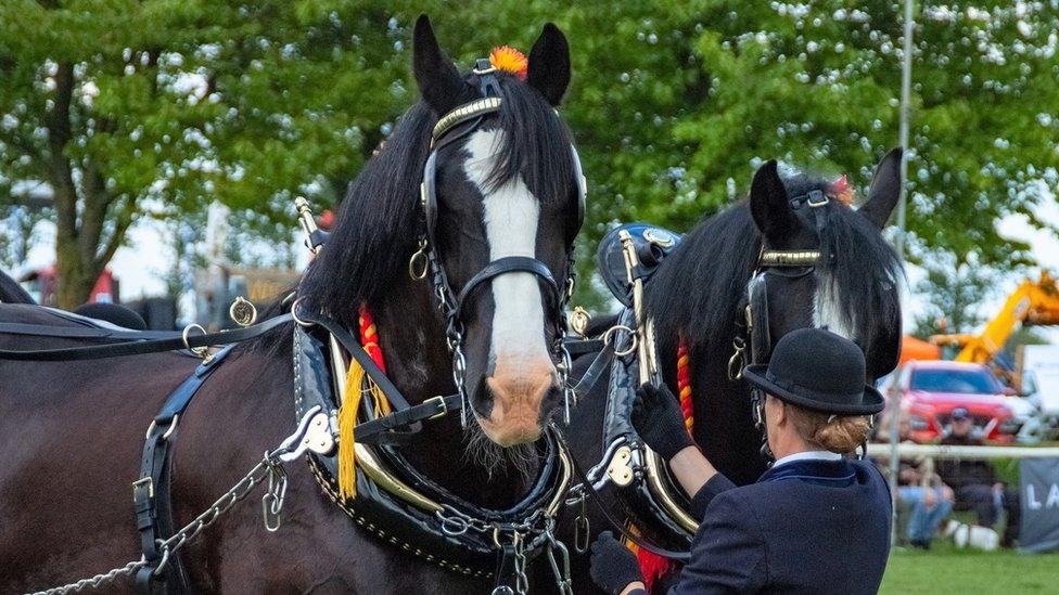 Nottinghamshire County Show