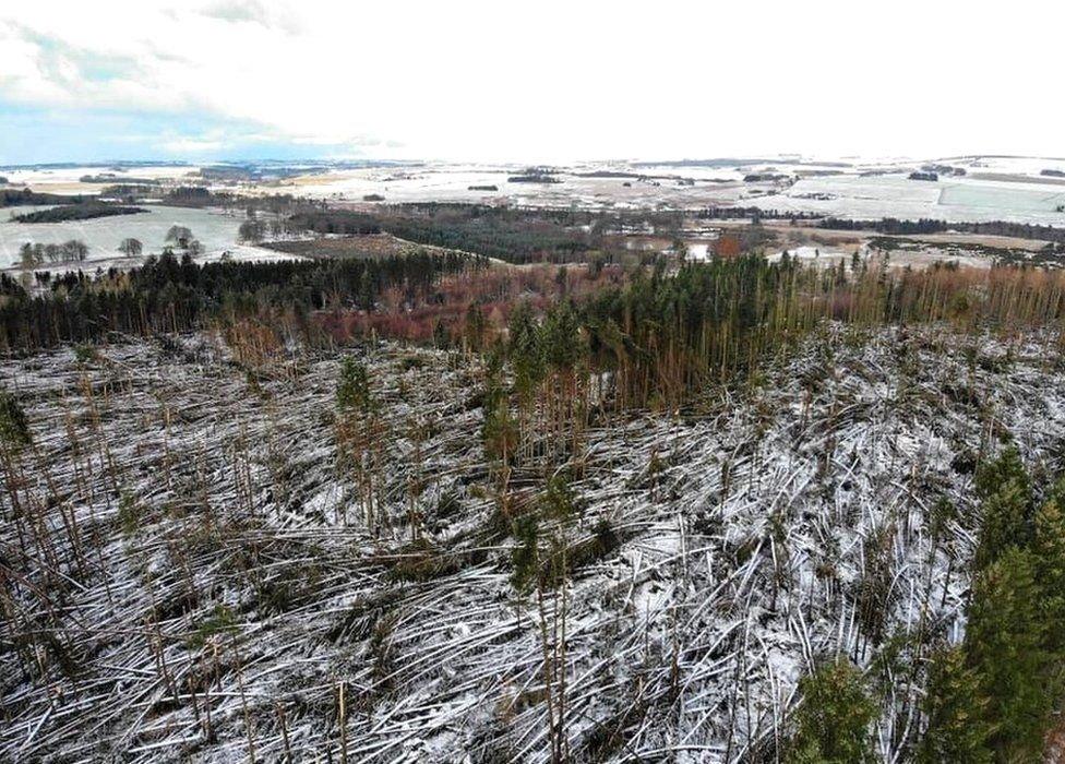 Aerial image from Haddo House after Storm Arwen