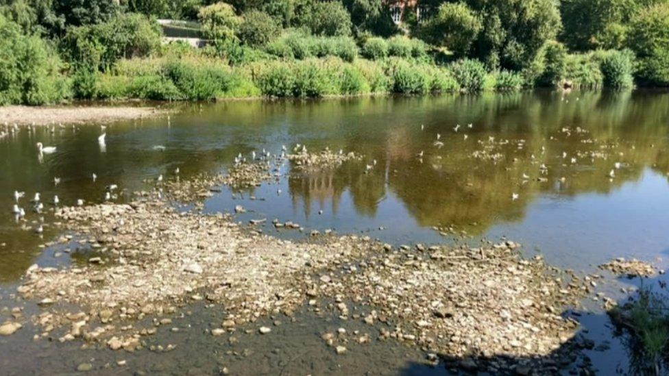 River Wye in Hereford