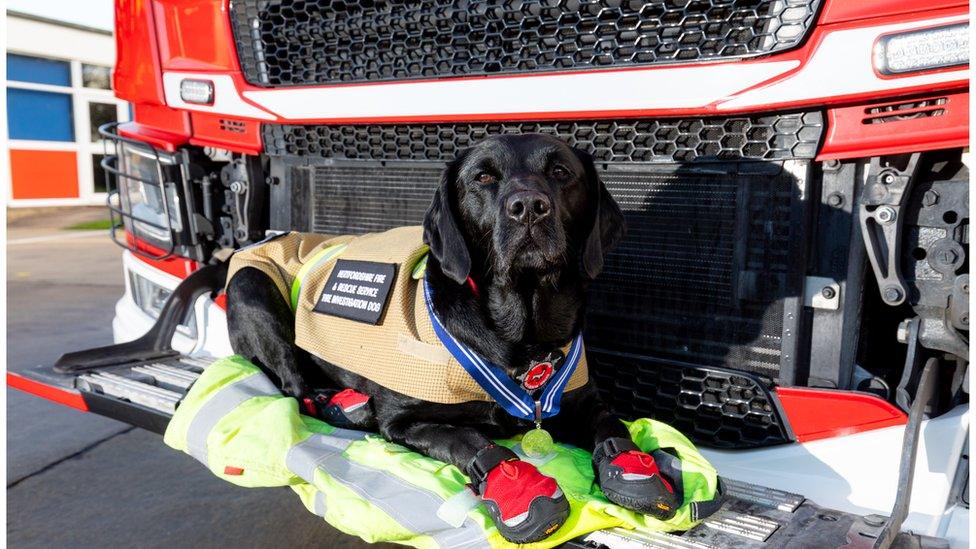 Reqs resting on a fire engine with his medal