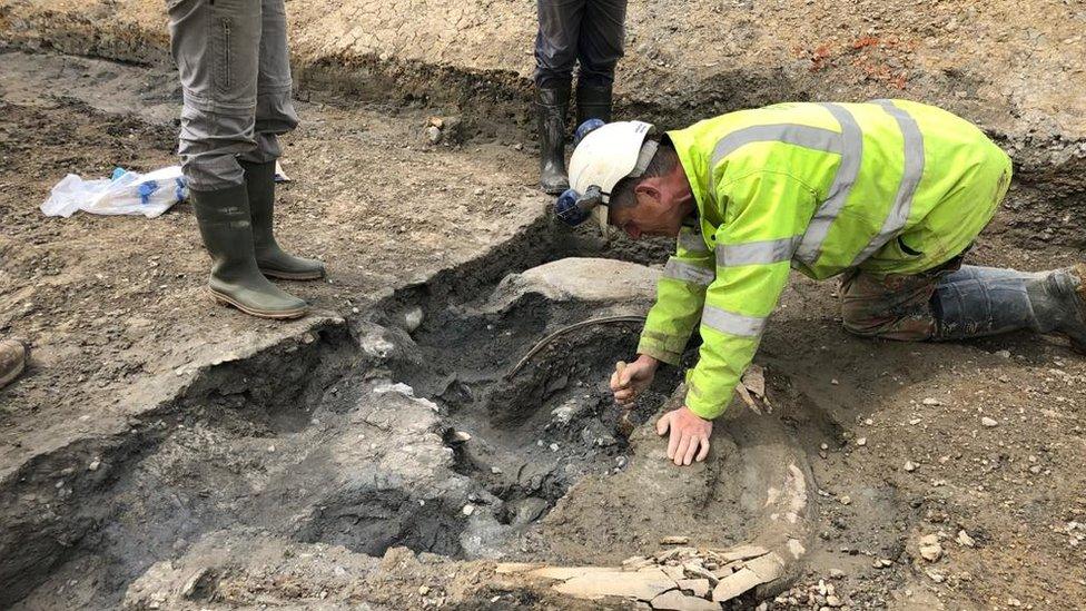 Archaeologists discover mammoth graveyard near Swindon