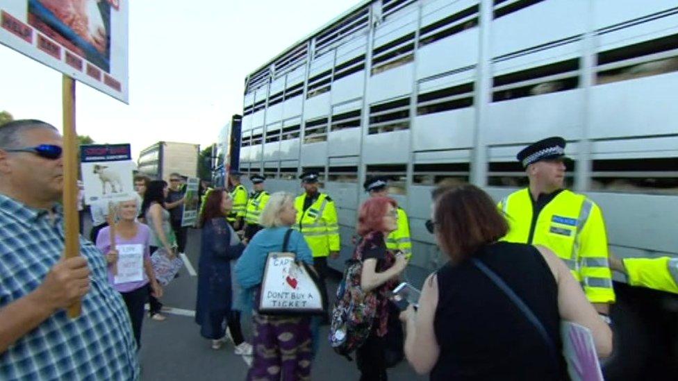 Protesters at the Port of Ramsgate