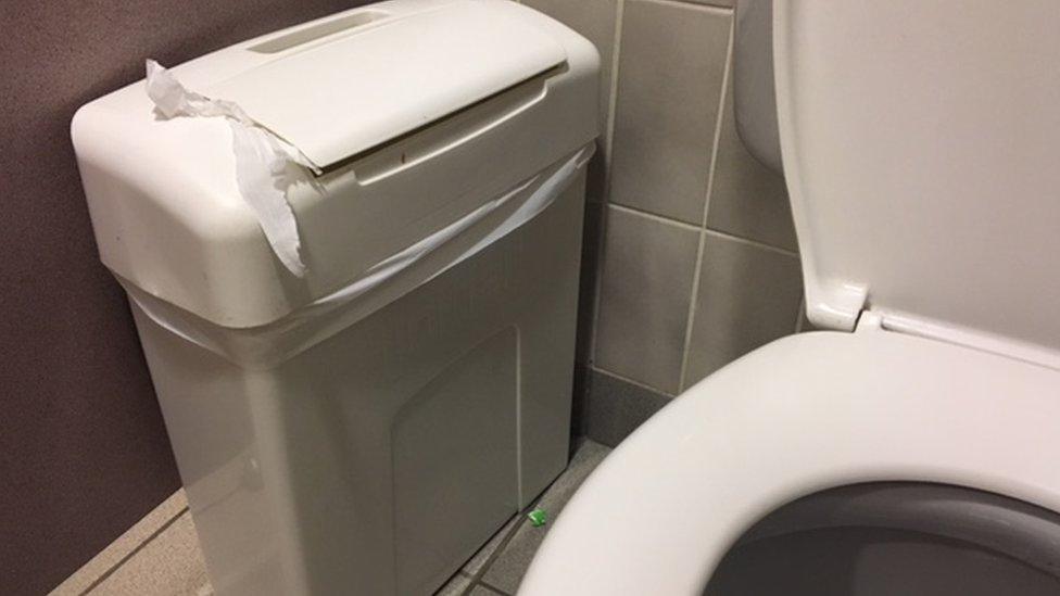 Sanitary bin in toilet