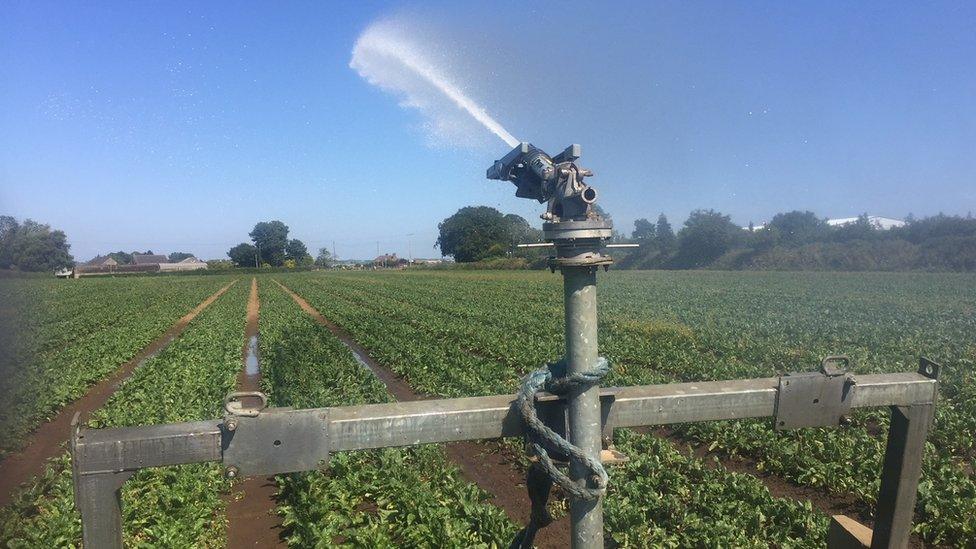 Agri irrigation system