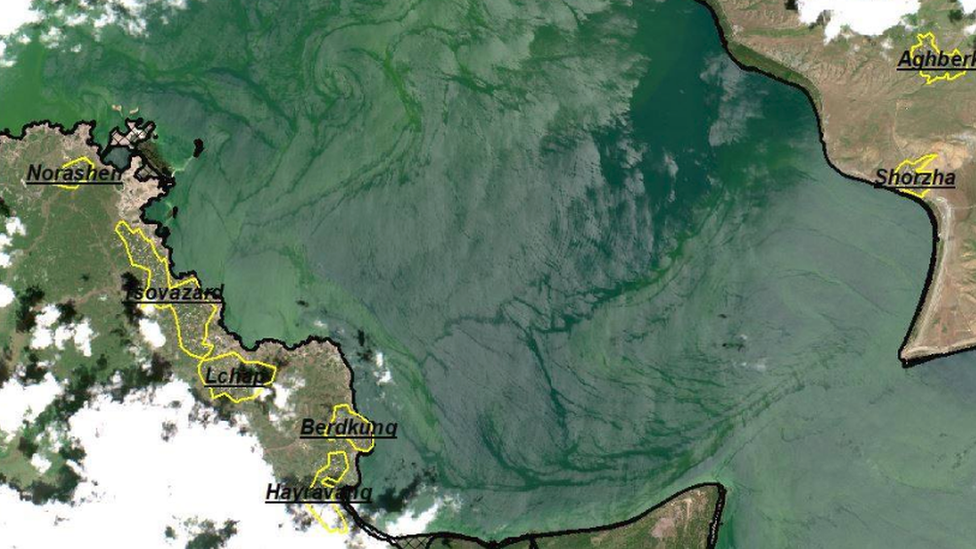 Algae bloom on Armenia's Lake Sevan, July 2019