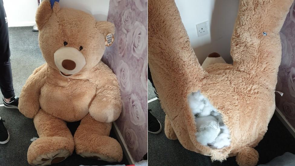 Teddy bear seized by police