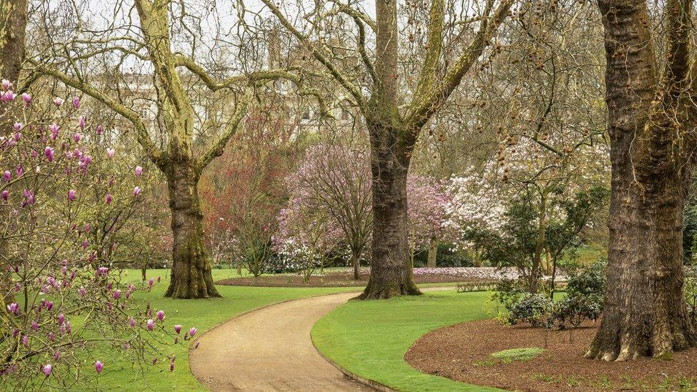 Buckingham Palace garden