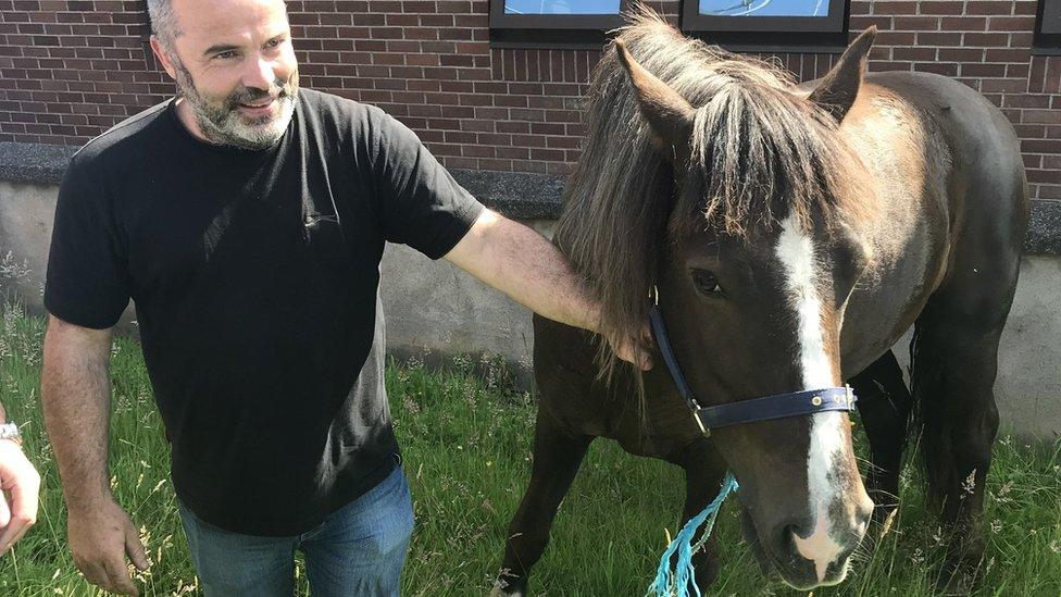 Anthony Fitzgerald with his daughter's horse