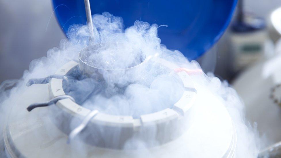 Egg freezing process