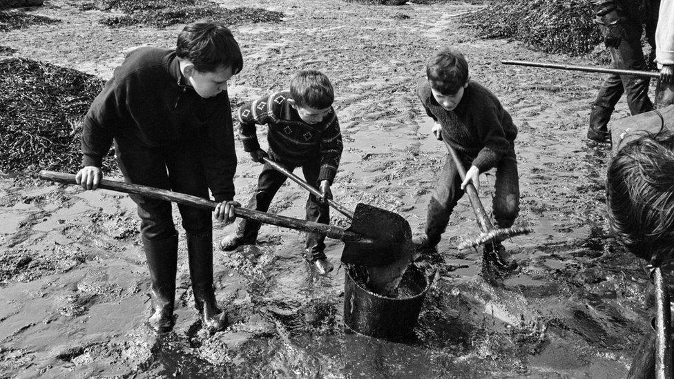 Children scooping up oil on the beach in Perros-Guirec, Brittany