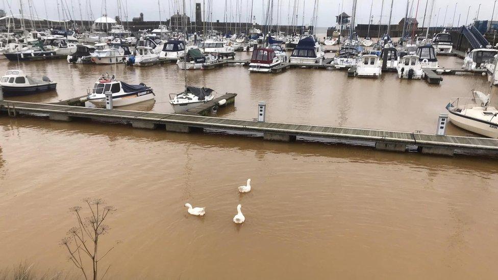 Rusty-orange-brown coloured water in Whitehaven Harbour