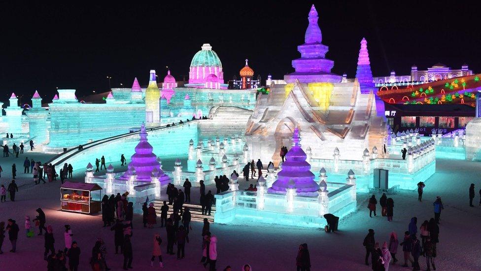 Some of the many ice sculptures on display