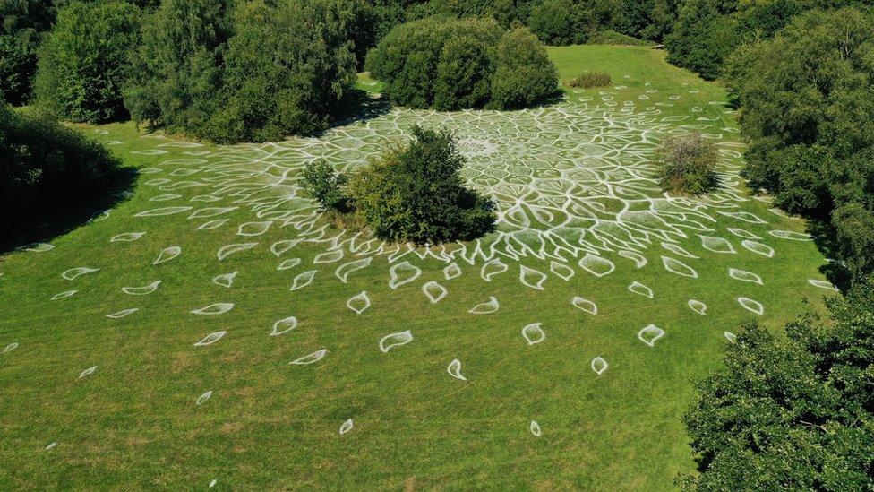 Mandala in Halewood Park