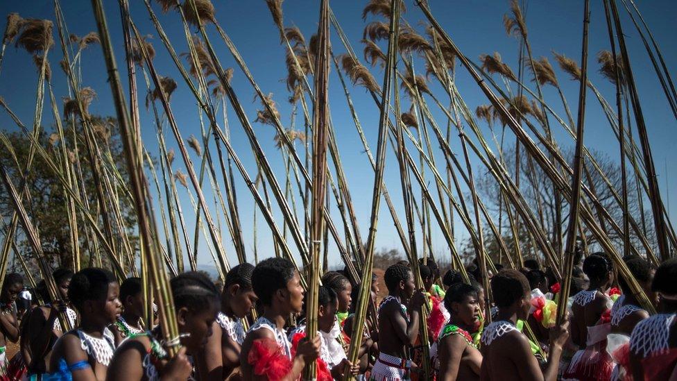 Women carrying reeds during the rain dance in Swaziland - 2016