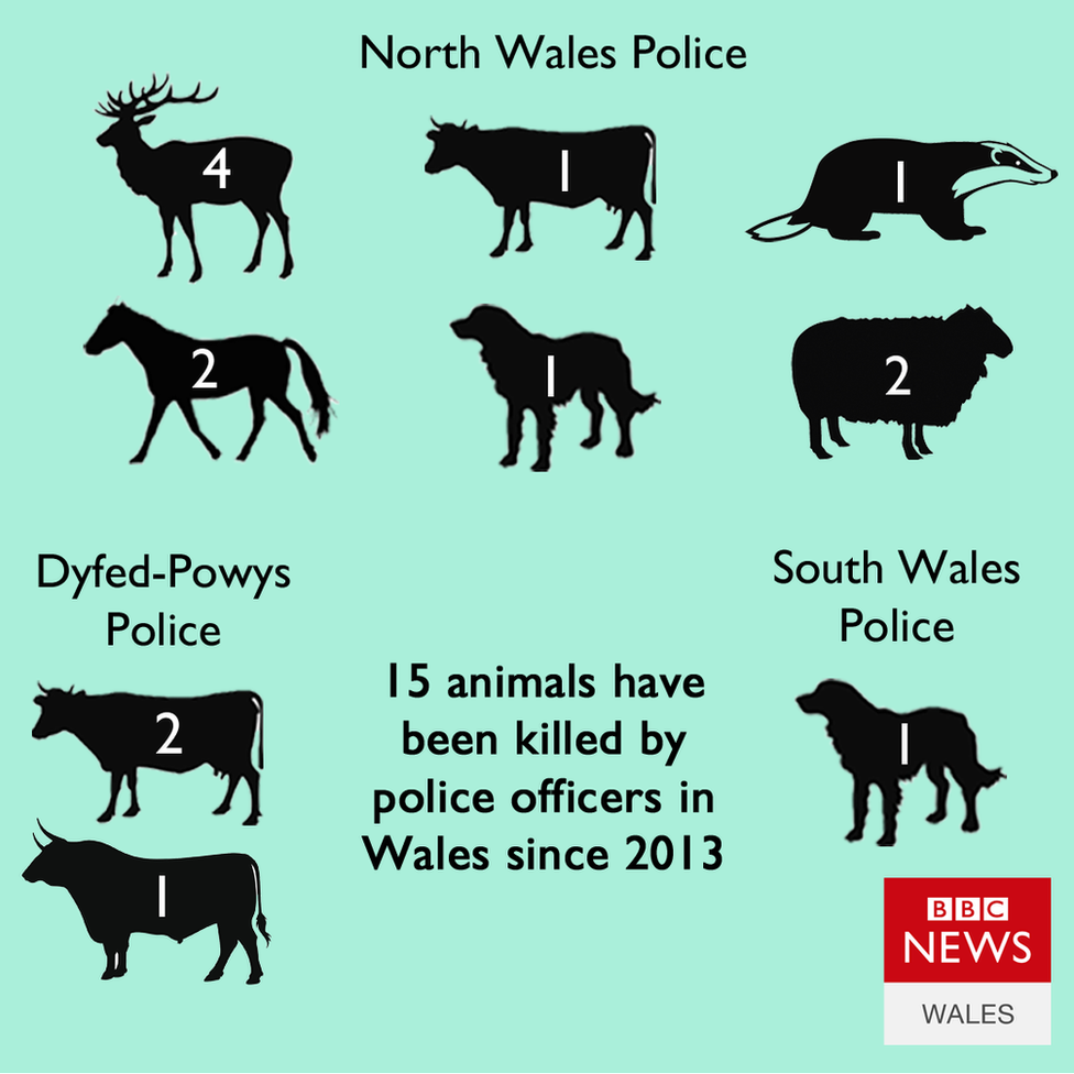 A graphic of the animals killed by Welsh police officers