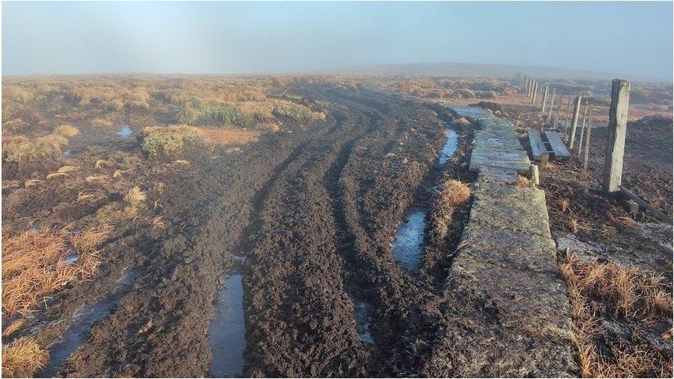 Deep tyre marks damage habitat at Cheviot summit - BBC News
