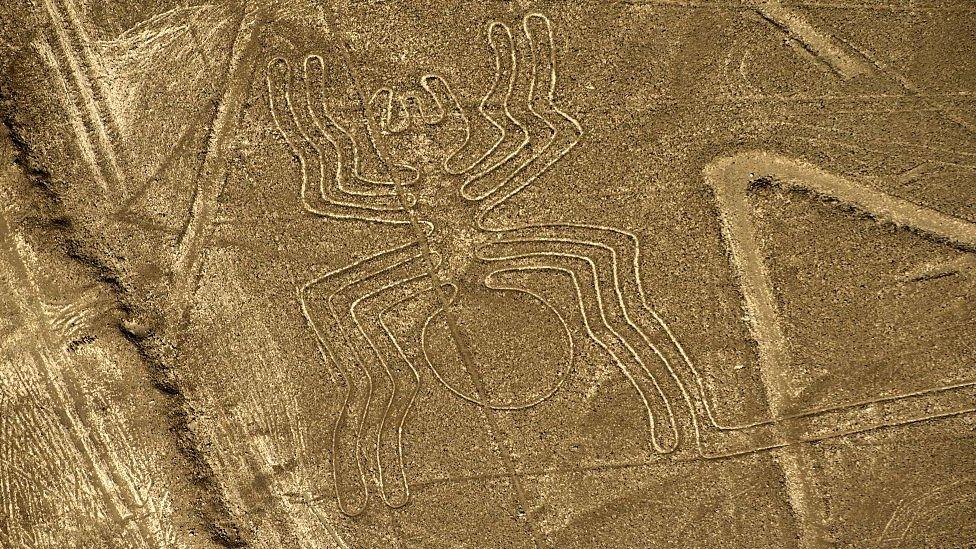 Nazca Lines spider