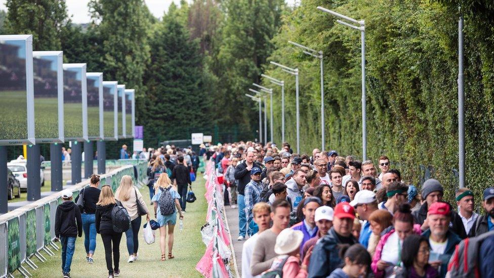 Wimbledon fans