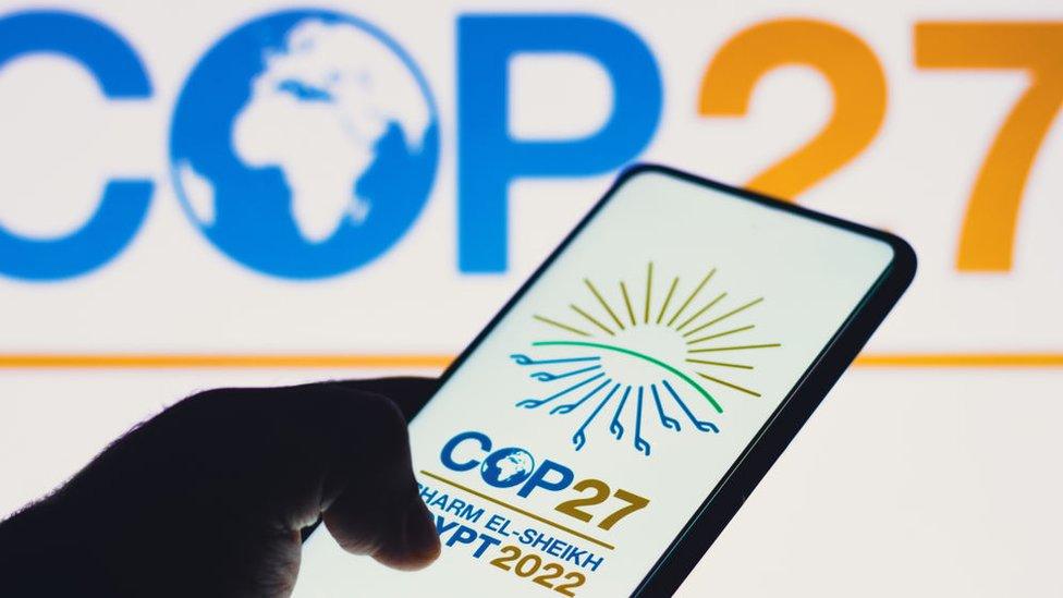 person holding phone with cop27 logo