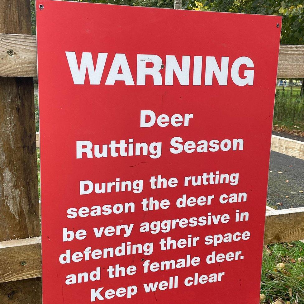 Wollaton Park warning sign