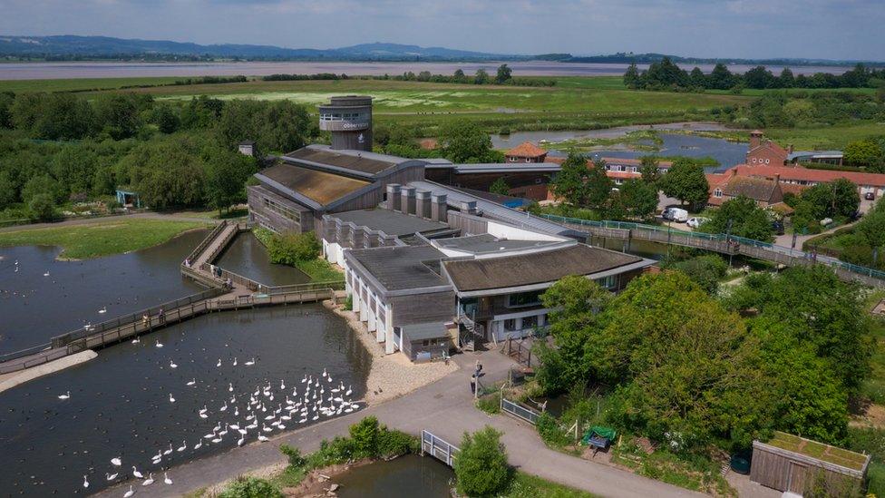 New bird hide at WWT Slimbridge