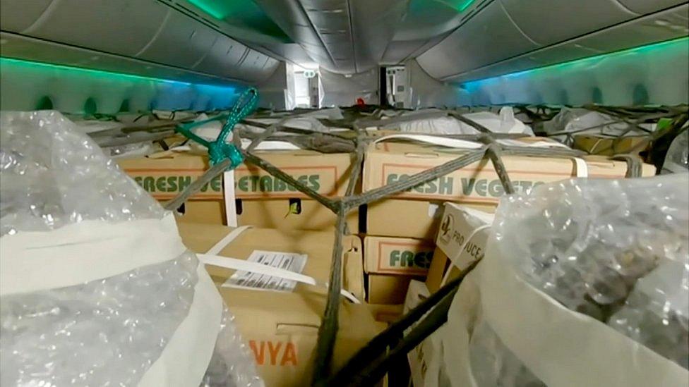 Fresh produce placed on seats in a Boeing 787