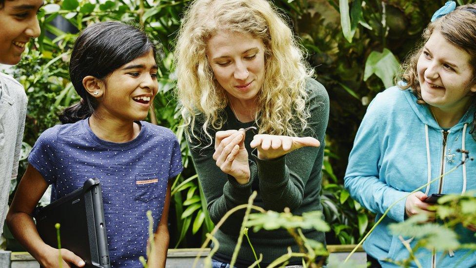 Children learning about the environment