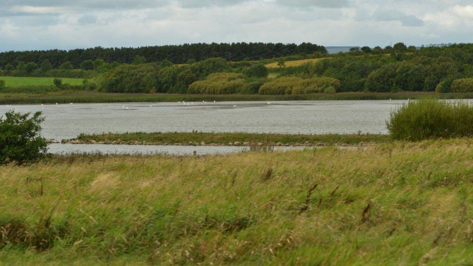 East Chevington nature reserve