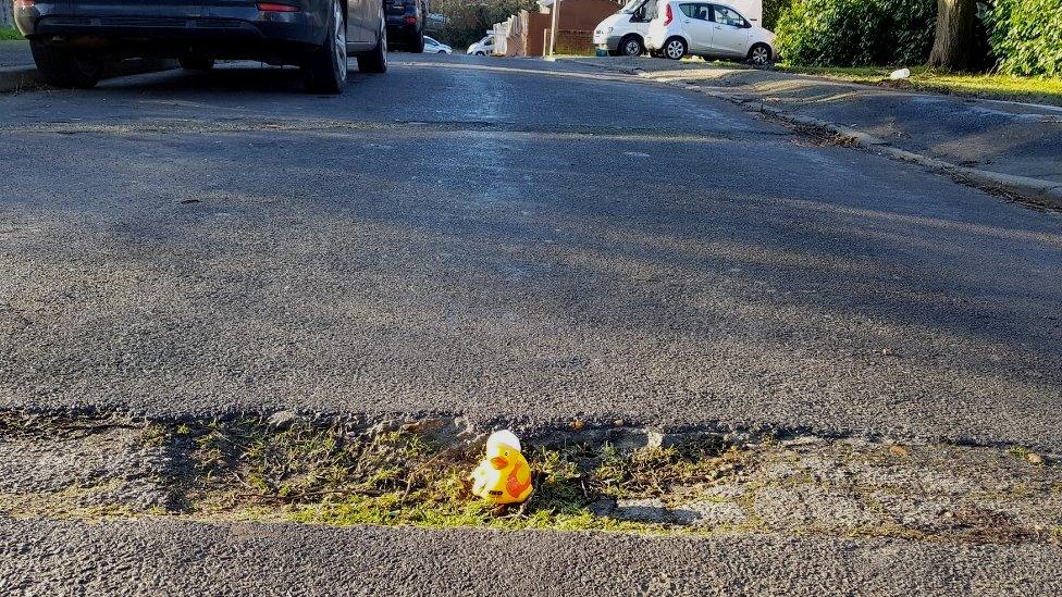 Rubber duck in the pothole in Surrey