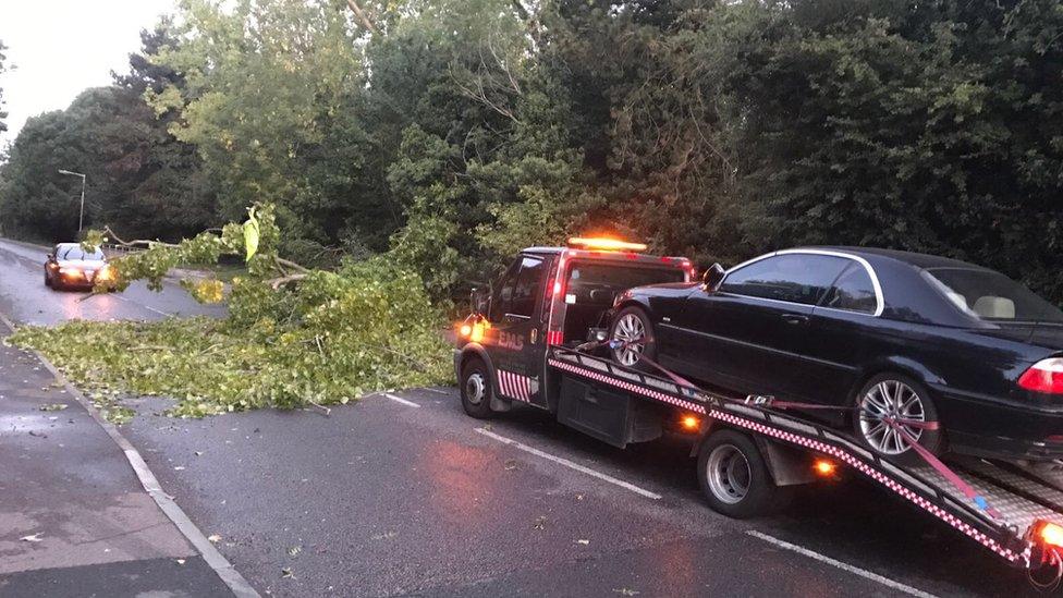 Fallen tree blocks road in Basildon, Essex