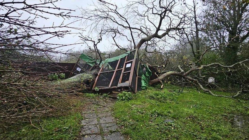 Damage at the GSPCA following Storm Ciaran