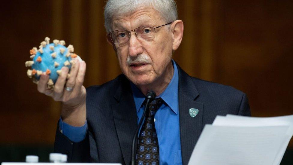 Director of the National Institutes of Health, Dr. Francis Collins, holds a model of the coronavirus as he testifies at a US Senate hearing to review Operation Warp Speed: the researching, manufacturing, and distributing of a safe and effective coronavirus vaccine, in Washington, DC, on July 2, 2020.