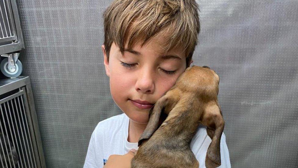 Ashley with his dog Lucia when he met her for the first time in Cyprus