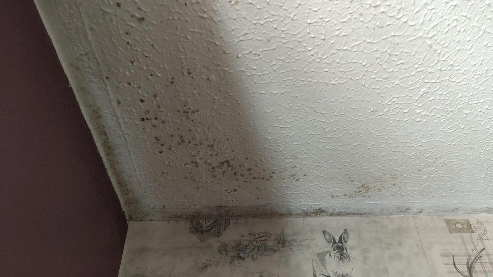 Mould on the ceiling of the woman's home in Ballymena