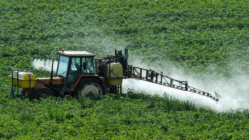 Crop-spraying in Meteren, northern France