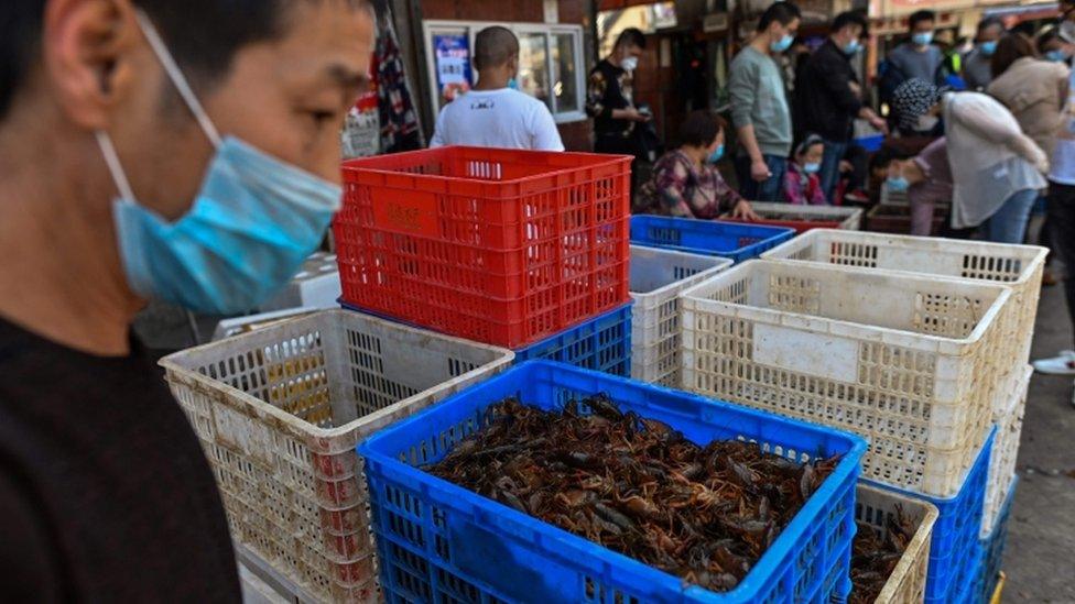 Most "wet markets", such as this one in Wuhan, do not sell wildlife