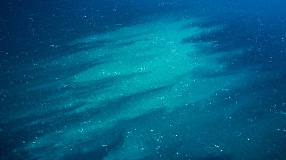 phytoplankton-bloom-in-water.