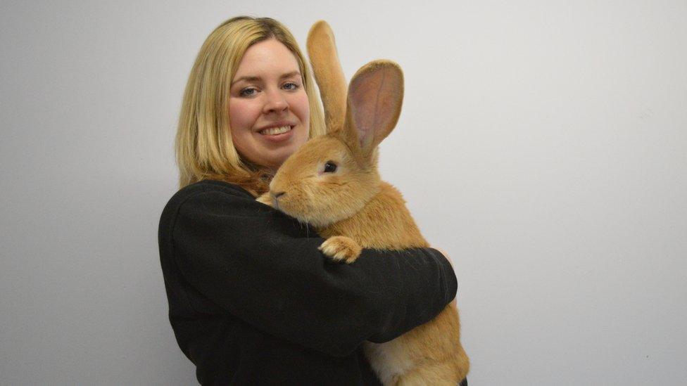 Atlas the rabbit