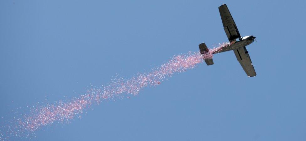 Poppies are released by plane during a Remembrance Day ceremony in Adelaide, Australia, 11 November 2018