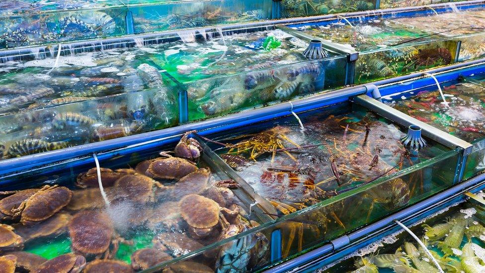 Crab market in Hong Kong