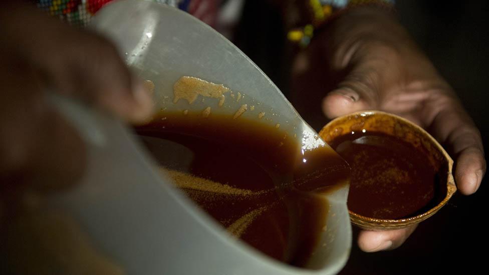 Ayahuasca ceremony in Colombia