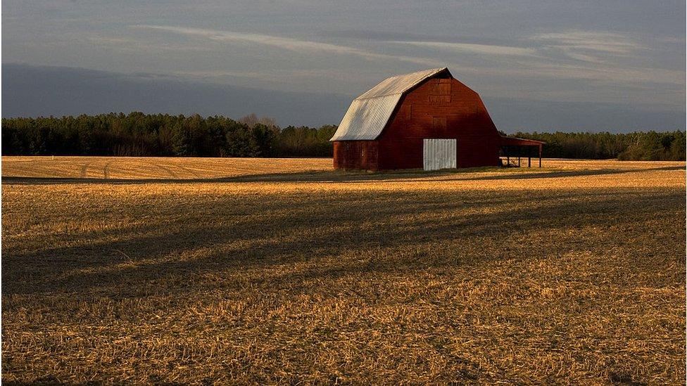 The Lovings were from rural Caroline County in Virginia