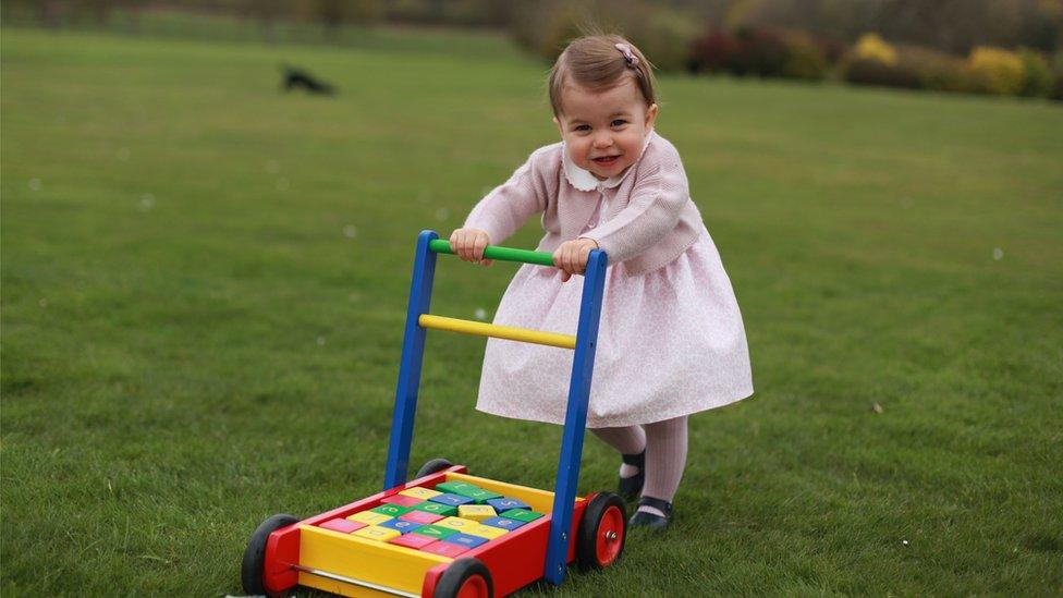 Princess Charlotte photographed for her first birthday