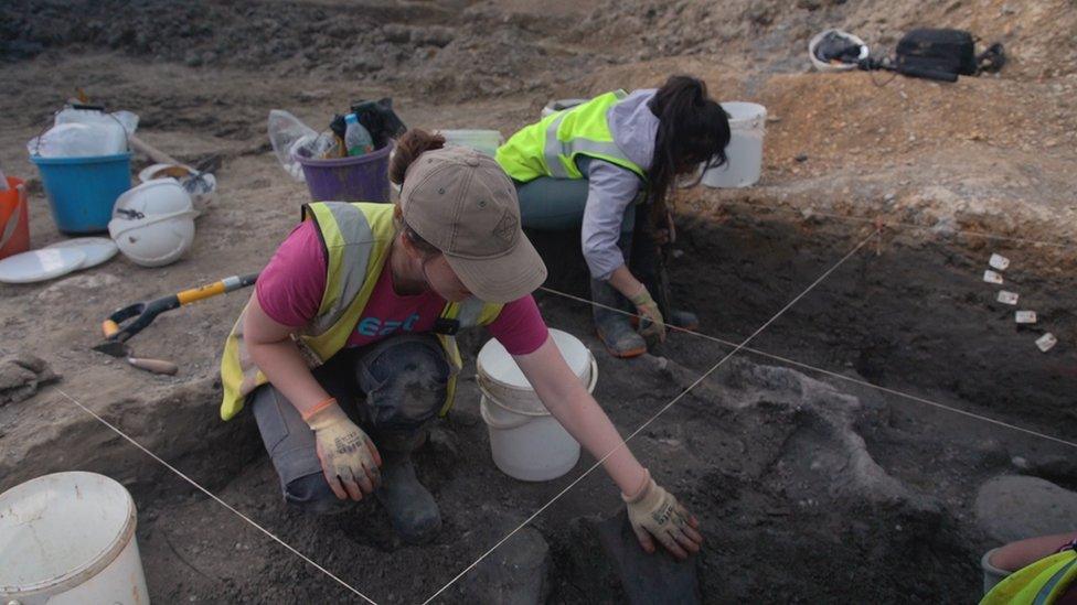 Archaeologists discover mammoth graveyard near Swindon