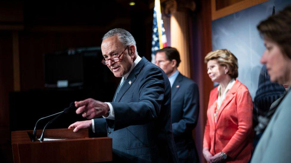 Senate Majority Leader Chuck Schumer addresses media