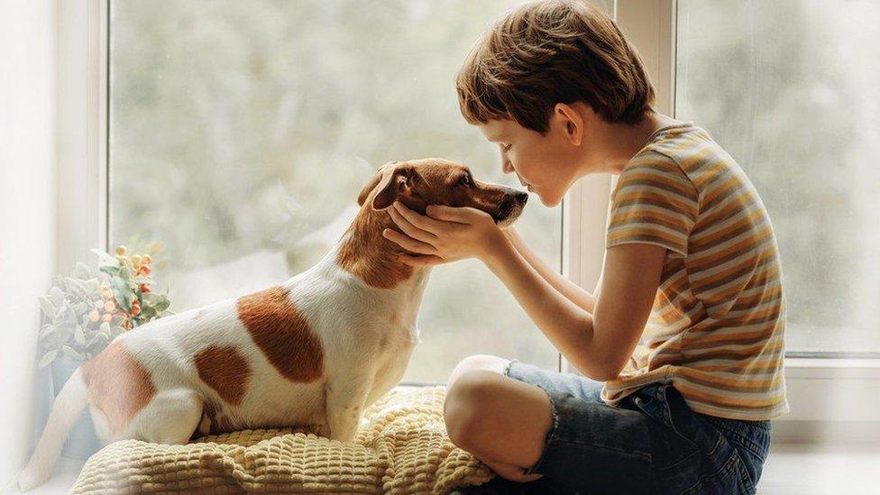 boy with dog