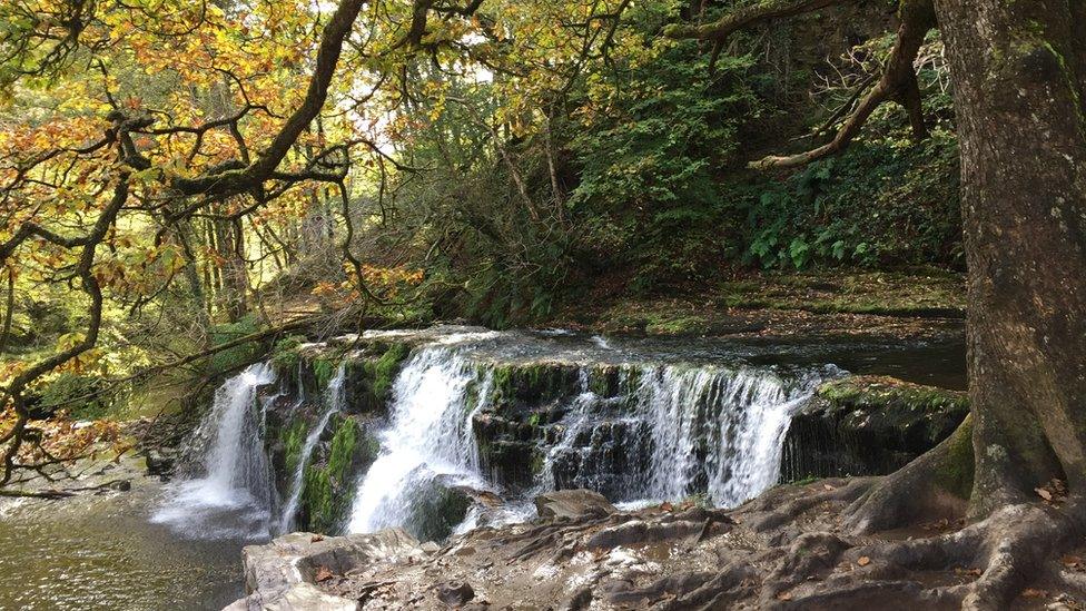 Go with the flow: Liz Czaban from Ystrad Mynach captured the beautiful Sgwd y Pannwr waterfall during an autumnal walk near Ystradfellte in the south Wales valleys for our Pic of the Day.