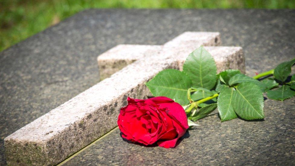 Rose on grave