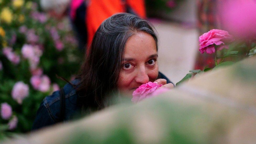 Visitor smelling one of the roses